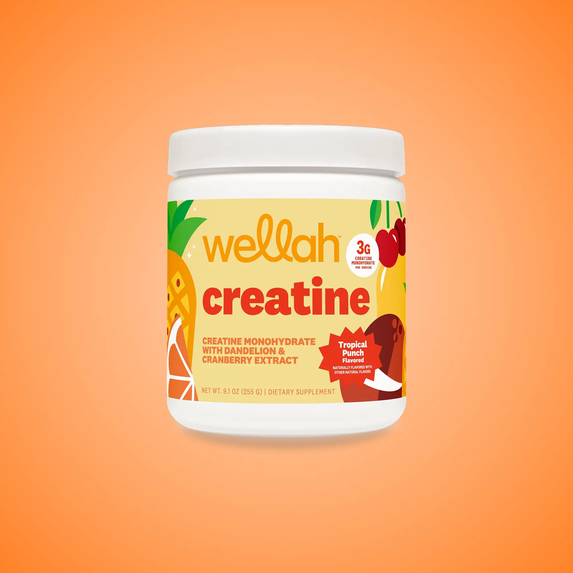 Wellah Nutrition Creatine Monohydrate - 50 Servings, 3G Creatine, Supports Energy, Muscle Recovery & Strength, Cognitive Health Dietary Supplement Powder Fitness
