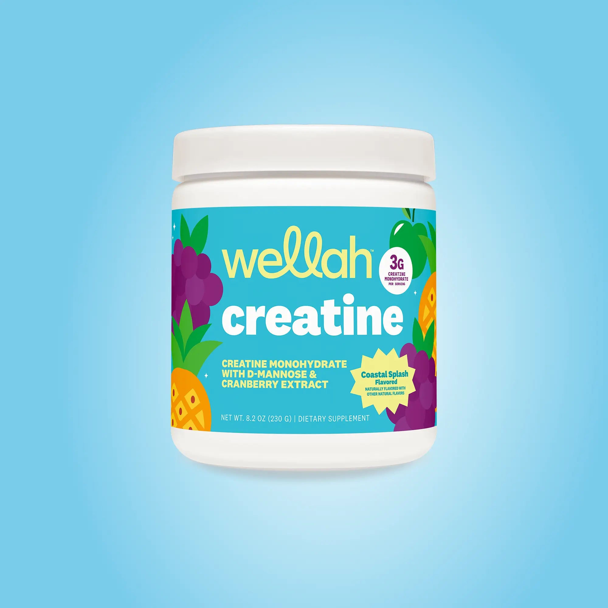 Wellah Nutrition Creatine Monohydrate - 50 Servings, 3G Creatine, Supports Energy, Muscle Recovery & Strength, Cognitive Health Dietary Supplement Powder Fitness